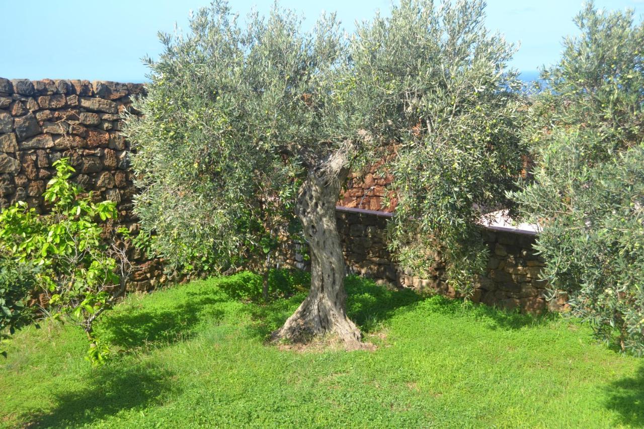 Agriturismo Zinedi Villa Pantelleria Esterno foto